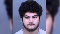 Arizona teen arrested on terrorism charges in alleged plot against Phoenix Pride Festival
